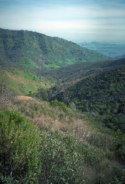 Plant communities at canyon