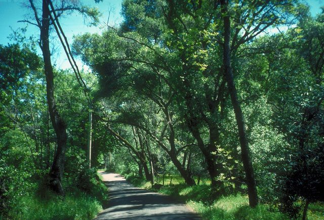 Gates Canyon Road