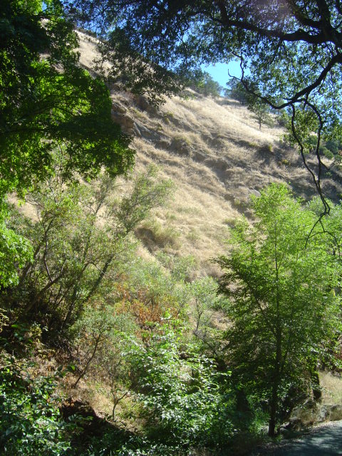 Gates Canyon