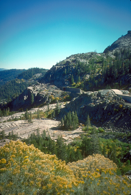 Subalpine Vegetation on granodiorite