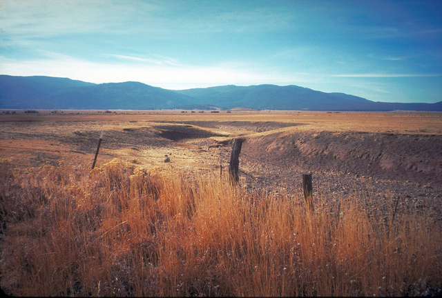 Dry Creekbed