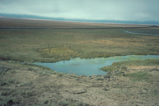 Wetland