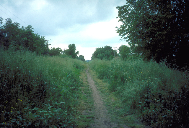 Jeep trail