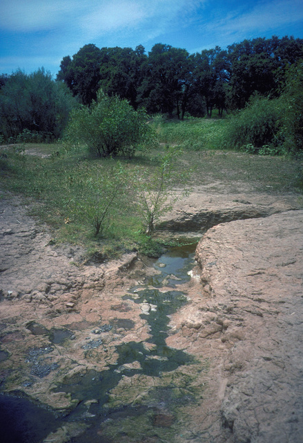 Vernal pool on sandstone