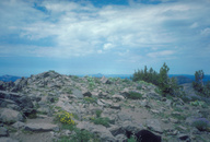 Rock garden on granodiorite