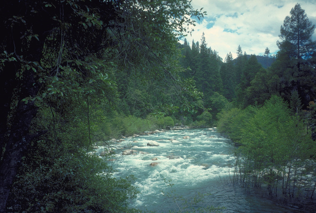 the South Yuba River