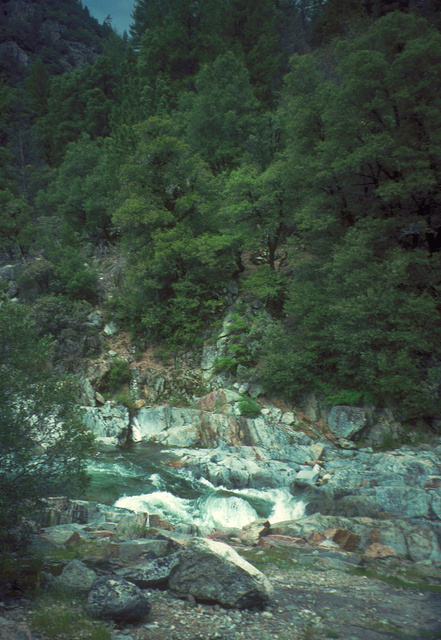 Rapids on Yuba River