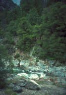 Rapids on Yuba River
