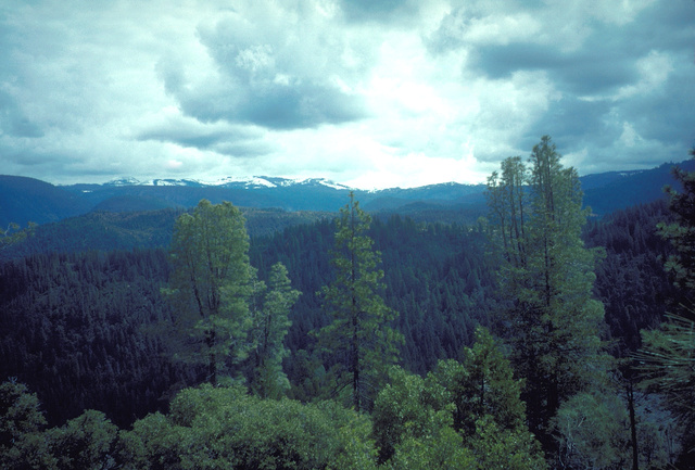 View of the Canyon