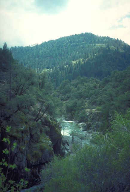 Narrow Defile of the South Yuba River