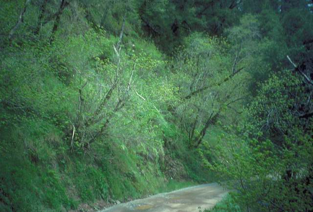 Cliffs along the road