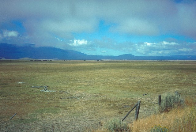 Vista across grassland