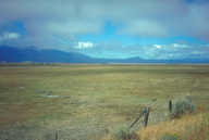 Vista across grassland