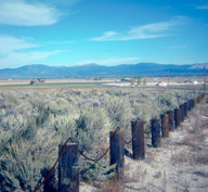 Sagebrush Steppe