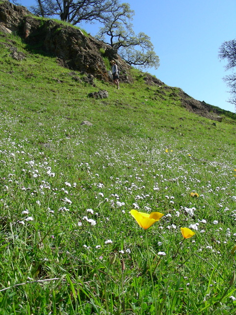 Springtime in the Sutter Buttes