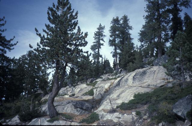 Granite at Donner