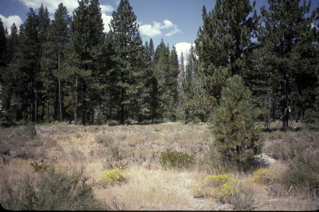 Sierra Valley