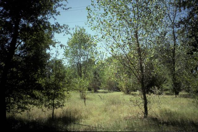 Flood plain