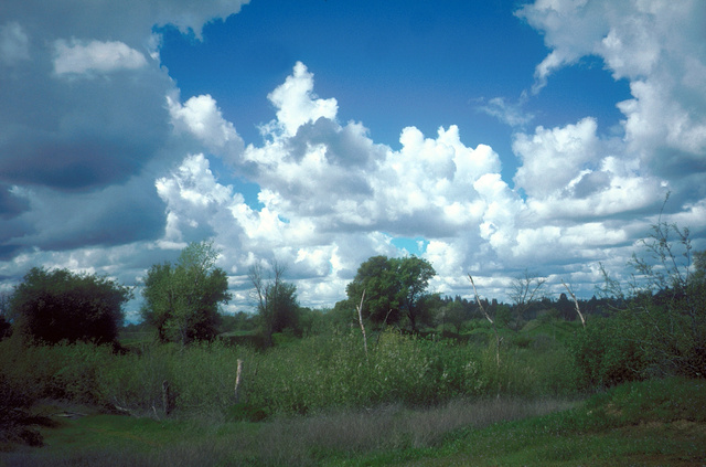 Gravel Pits