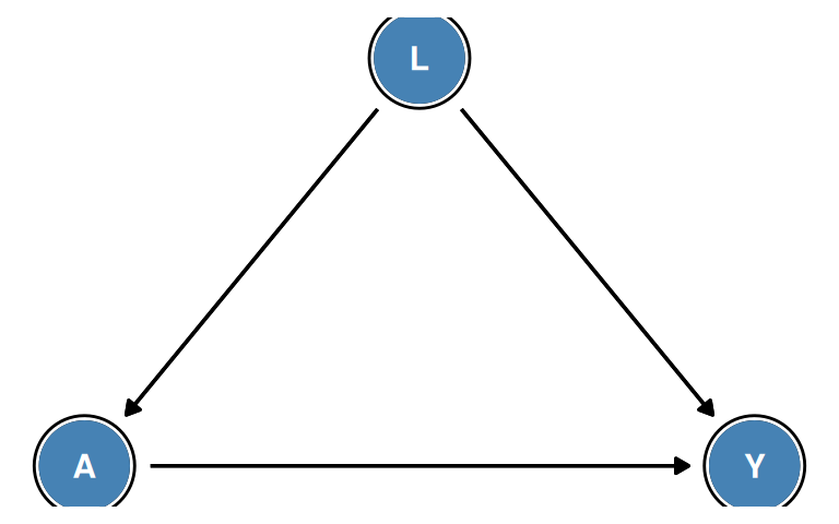 Figure 6.2. Confounding: L opens the backdoor path A ← L → Y. Adjusting for L blocks this path.