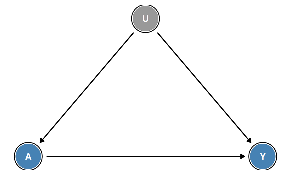 Figure 7.3. Unmeasured confounding: U is an unmeasured common cause of A and Y with no measured common cause on the backdoor path. No measured set satisfies the backdoor criterion.