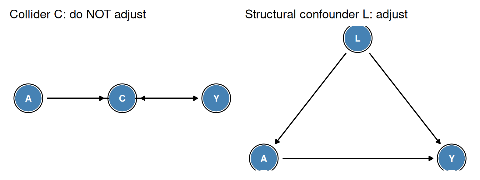 Figure 7.4. Left: C is a collider (A → C ← Y); it satisfies traditional criteria 1 and 2 but adjusting for C introduces bias. Right: L is a structural confounder (opens backdoor path) but may not satisfy traditional criteria if its effects on A and Y cancel.